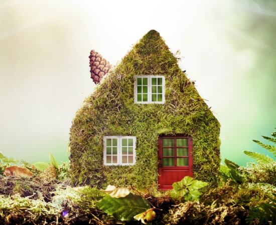 Eco,Friendly,House,Concept,With,Moss,Covered,Model,Home,Outdoors