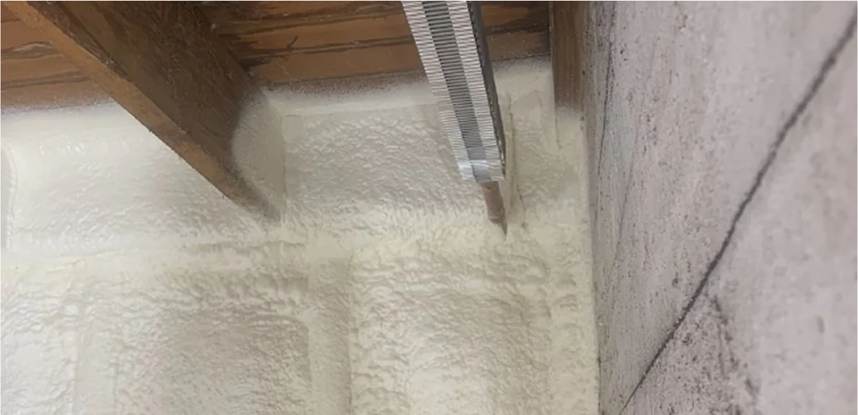 Crawl Space Encapsulation