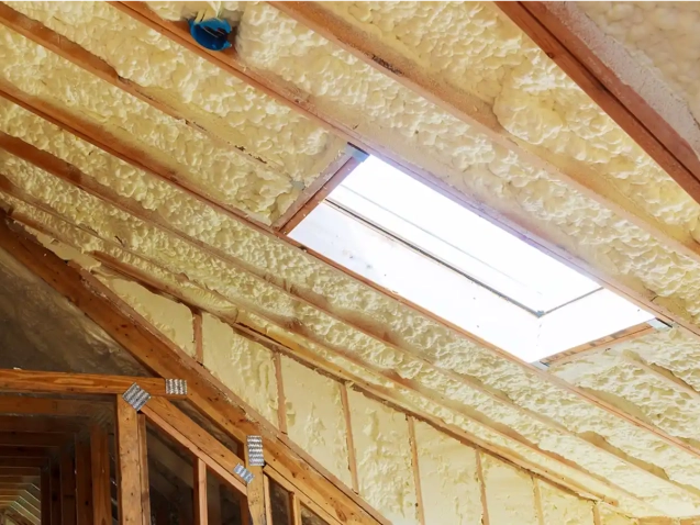 Existing Insulation image