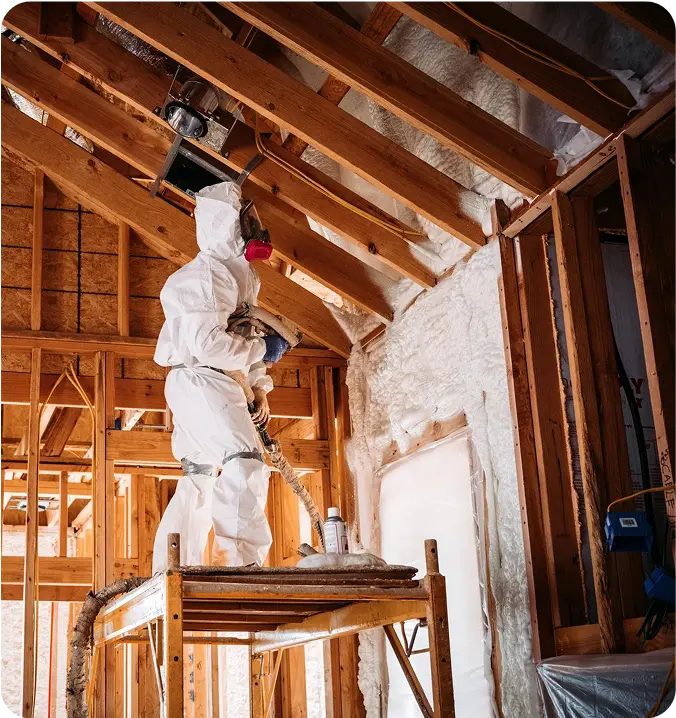 Professional Insulation Removal image